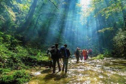 Caspian Hyrcanian Forests - Iran Safar Travel