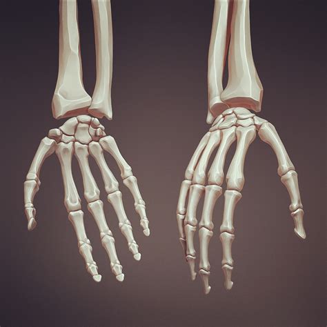 Skeleton hands by Leonid-k on DeviantArt