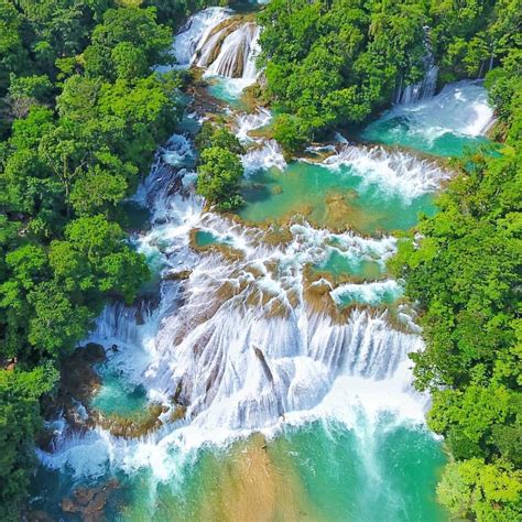 Conoce las hermosas Cascadas de Agua Azul - Viaja Chiapas