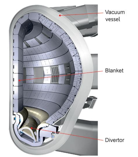 Tokamak Fusion Reactors