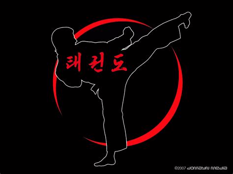 Taekwondo on Pinterest | Martial Arts, Deviantart and Brazilian Jiu Jitsu