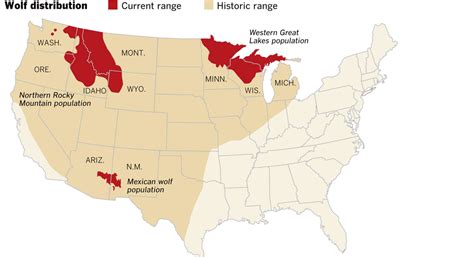 graphic: Gray wolves’ history and recovery - Data Desk - Los Angeles Times