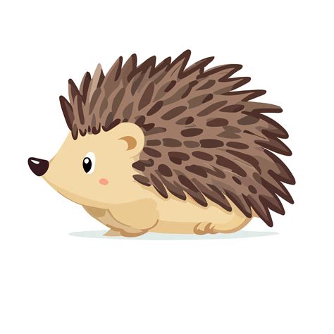 Hedgehog clipart transparent background 24029737 PNG