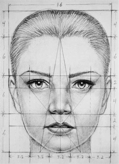 human face proportions drawing - Ozell Scholl