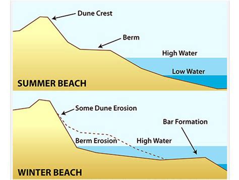 Science of the Shore – A Tale of Two Beaches: Winter & Summer Beach ...