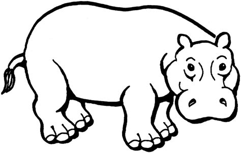 Hippo Line Drawing | Free download on ClipArtMag