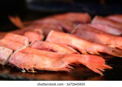 305 Atlantic Rose Fish Images, Stock Photos & Vectors | Shutterstock