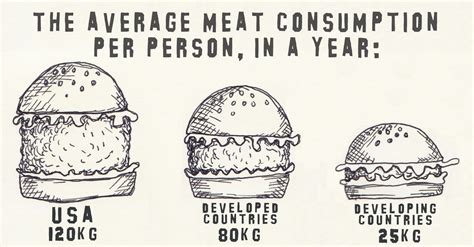 Meat Consumption: A Contributing Factor In Obesity - Women Fitness