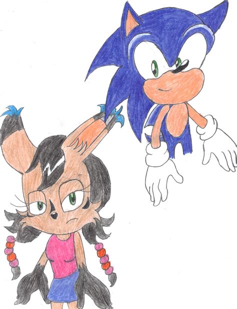 Sonic x Nicole : Please Come Back Safely by BlueSpeedsFan92 on DeviantArt