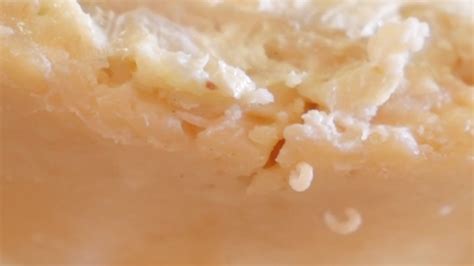 Would You Eat Maggot Infested Cheese From Italy? Watch How Casu Marzu ...