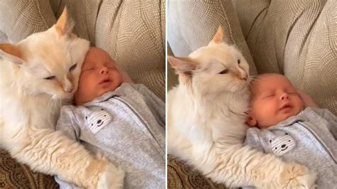 Cat snuggling with baby is heart-melting in sweet viral clip | PetsRadar