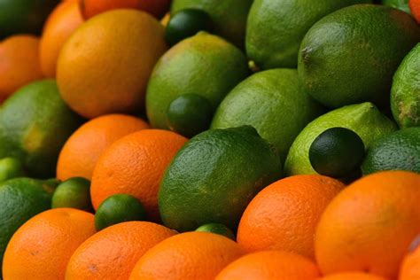 Citrus varieties, key examples to understand which to grow