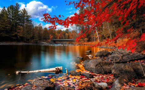 Fall Scenery Backgrounds - Wallpaper Cave