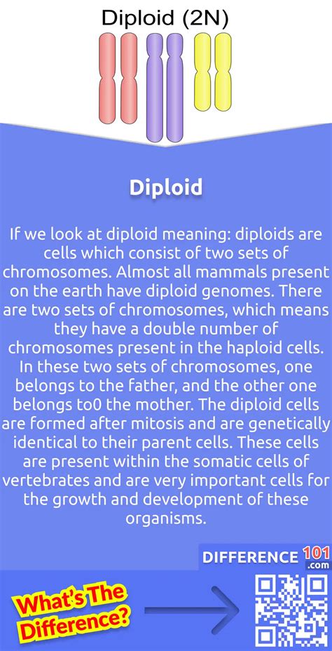 Diploid vs. Haploid: 6 Key Differences, Pros & Cons, Examples ...