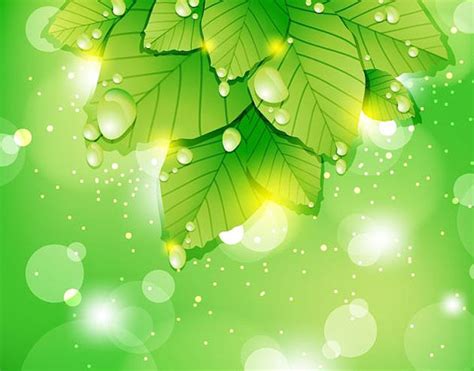 Vector Backgrounds: 35 Free Vector Art & Vector Graphics Graphic Design ...