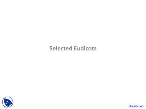 Selected Eudicots - Evolution of Plants - Lecture Slides - Docsity