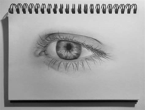 How To Draw An Eye Tutorial - Animalrepair25