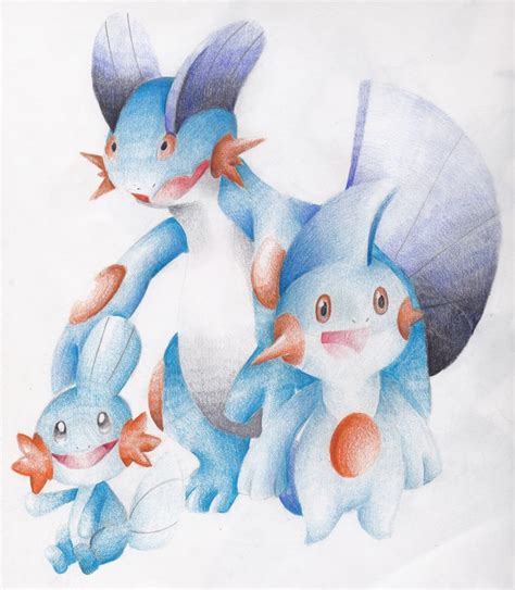 Mudkip Evolution Line by MonochromeSky16 on DeviantArt