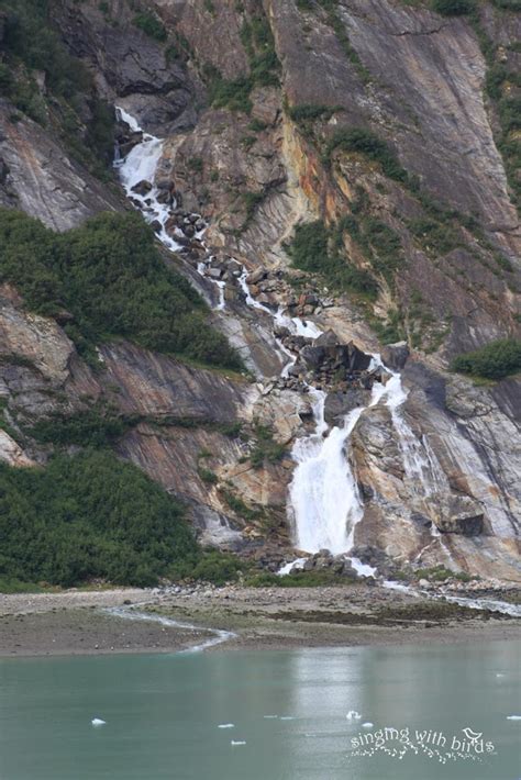 Tracy-Arm-Fjord-waterfall-2 - Cheery Kitchen