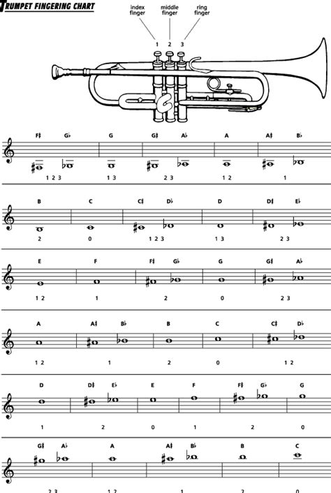 Trumpet Fingering Chart | The Online Metronome