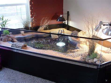 How To Make Turtle Aquarium At Home - Aquarium Views