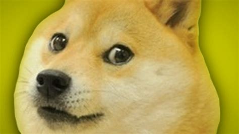 Doge Meme Wallpaper (85+ images)