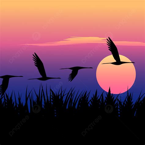 Flying Birds In Sunset Background, Background, Wallpaper, Nature ...