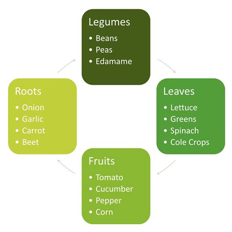 Crop Rotation in the Vegetable Garden | Horticulture and Home Pest News