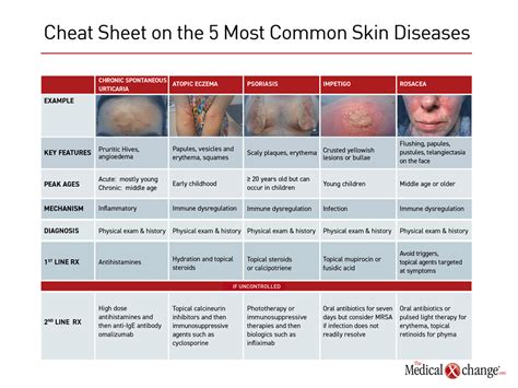 Common Skin Disorders – NBKomputer