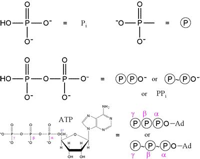 Phosphate Ion Formula And Charge