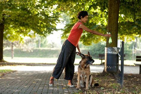 Don’t waste your dog’s poo – compost it