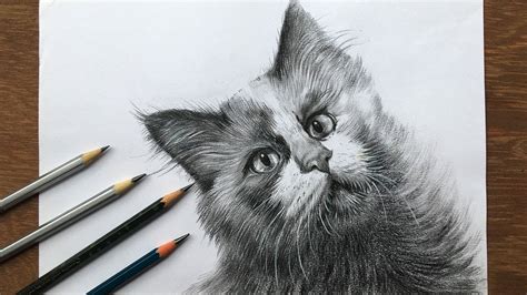 Pencil Shade Drawing Of Animals