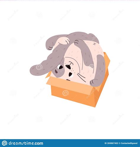 Funny Cat Plays Hiding in Box Flat Vector Illustration Isolated on ...