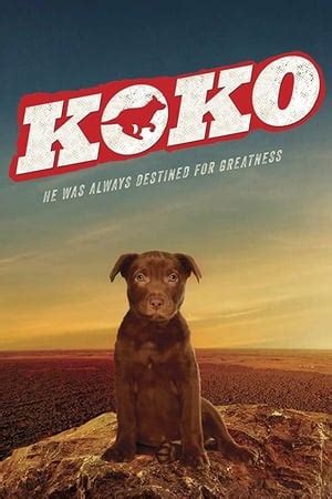 Koko: A Red Dog Story (2019) — The Movie Database (TMDb)