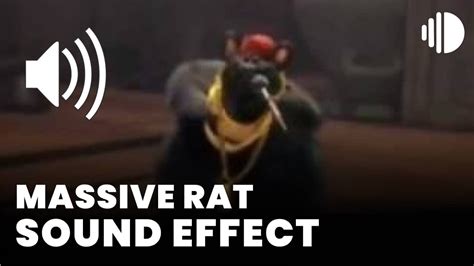 Massive Rat Sound Effect - Sound Effect MP3 Download