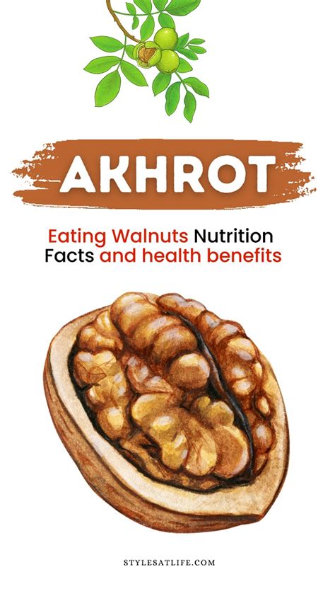 Top 19 Walnut Benefits (Akhrot), Nutrition Facts and Side Effects