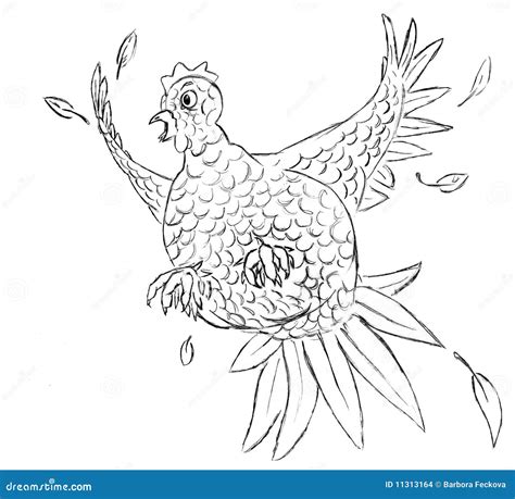 Scared chicken stock illustration. Illustration of bird - 11313164