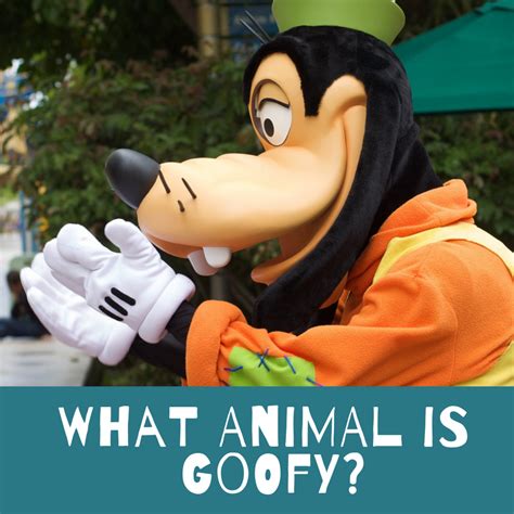 Is Goofy a Dog? Disney's Cow Cover-Up Revealed - ReelRundown