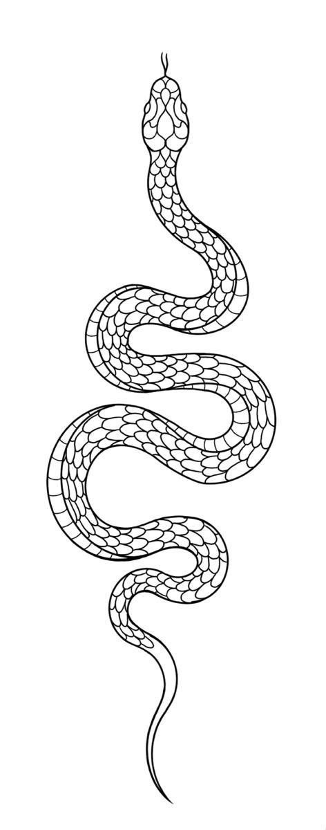 Snake tattoo stencil | Tattoo templates, Snake tattoo design, Snake tattoo