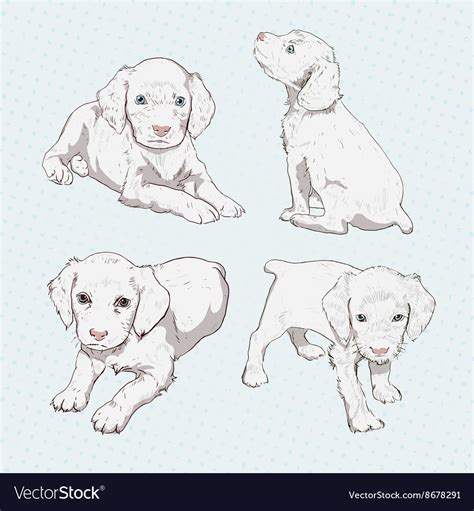 Set of little puppy hand-drawing Royalty Free Vector Image