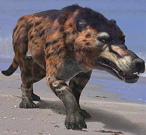 Andrewsarchus | Prehistoric Life Wiki | FANDOM powered by Wikia