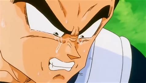 Image - Vegeta Crying.png - Dragon Ball Wiki