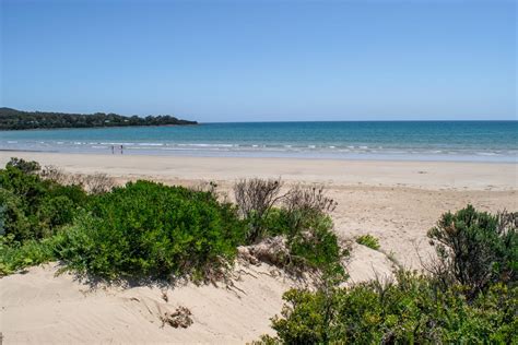 Don't Miss These Beaches in North Tasmania - Travelsewhere