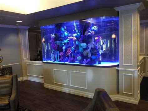 1200 Gallon Race Track with Faux Reef - Aquarium Maintenance Las Vegas ...