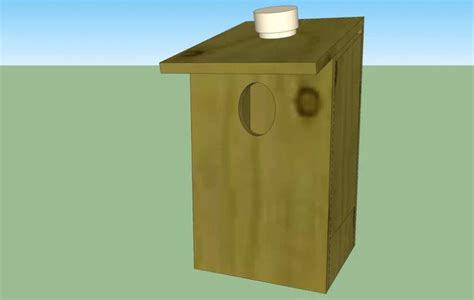 Kestrel Nest Box – Free Woodworking Plan.com