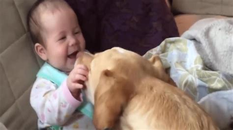 Cute Babies Playing and Laughing with Dogs – Funny Baby Vines ...