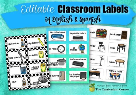 Editable Classroom Labels Brights Classroom Set Mrs Jones Creation - Riset