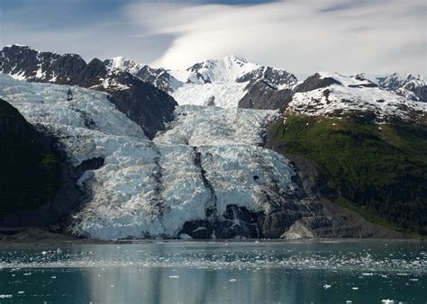 College Fjord Glacier | Alaska glaciers, Alaska travel, Glacier