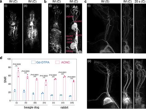 In vivo MR angiography a, b Contrast-enhanced MR angiography (MRA ...