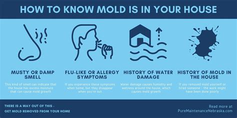 11 Symptoms of Mold Exposure That You Should Know